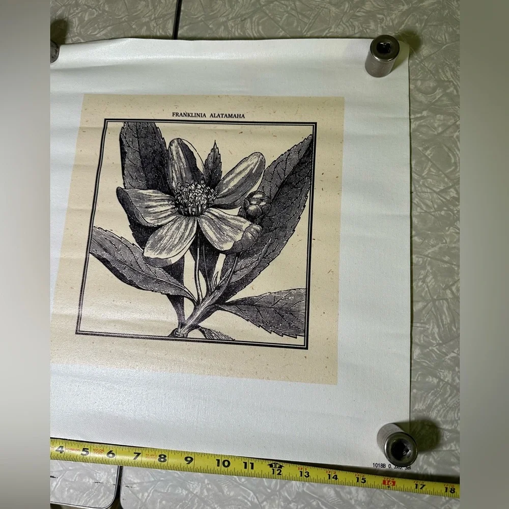 N/A franklin tree